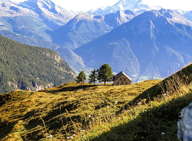 贝拉尔普 阿莱奇板 全景 - 上的免费照片