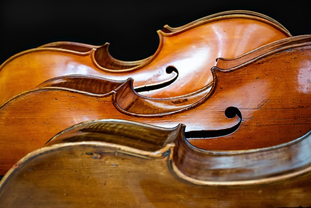 大提琴 乐器 弓弦乐器 - 上的免费照片