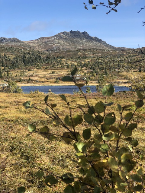 瑞腾 哈 Eggedal - 上的免费照片