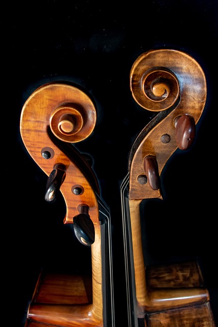 诱惑 大提琴 相对 - 上的免费照片