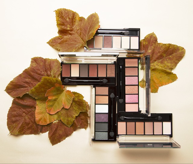 概念色的眼影 6色色的眼影 Clamy化妆品眼影 - 上的免费照片