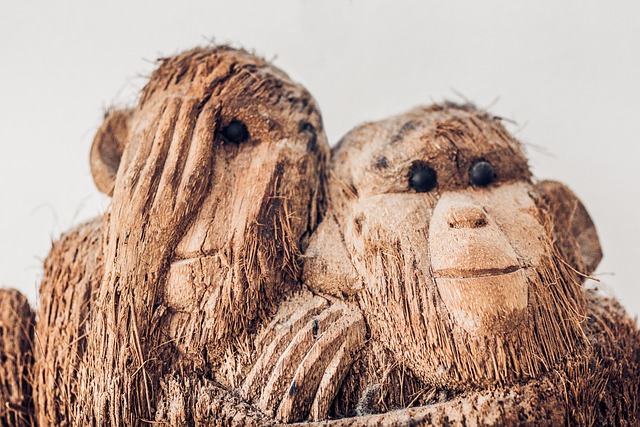 猴 猩猩 耻辱 - 上的免费照片