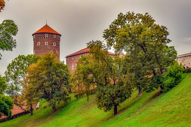 公园 树木 绿色 - 上的免费照片