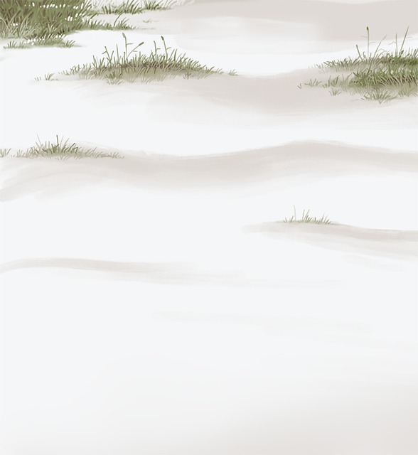 海滩 环境 背景 - 上的免费图片