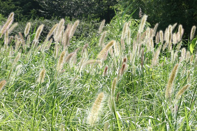 汉江公园 汉江南 Han - 上的免费照片
