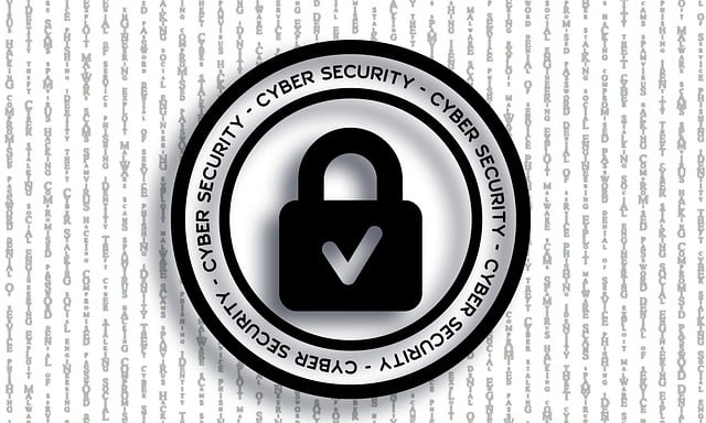网络安全 保护 网络 - 上的免费图片