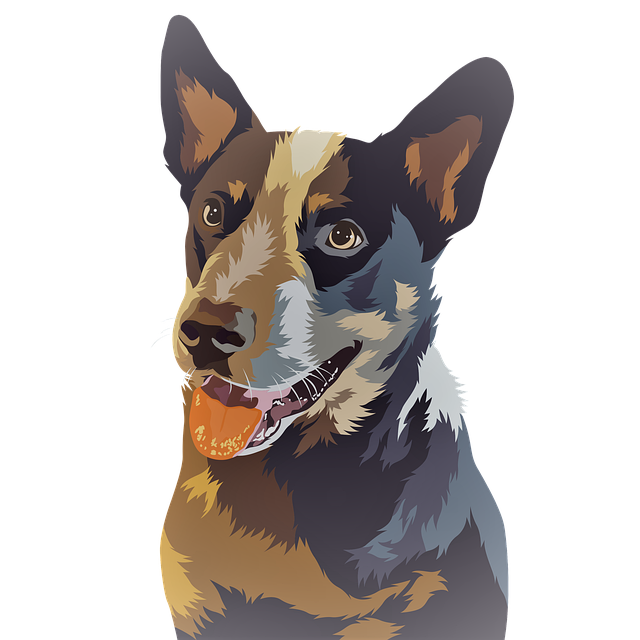 狗 蓝色高跟鞋 快乐的 - 上的免费图片