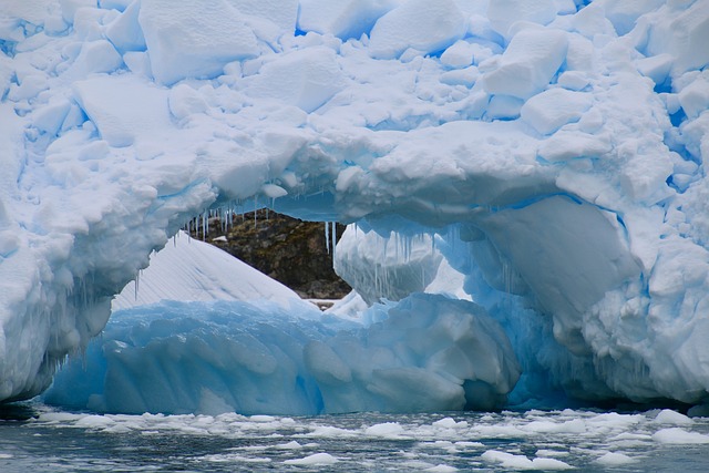 南极洲 南极半岛 谢尔瓦Cove - 上的免费照片