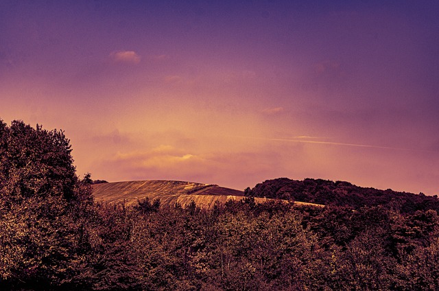 森林 山 天空 - 上的免费照片