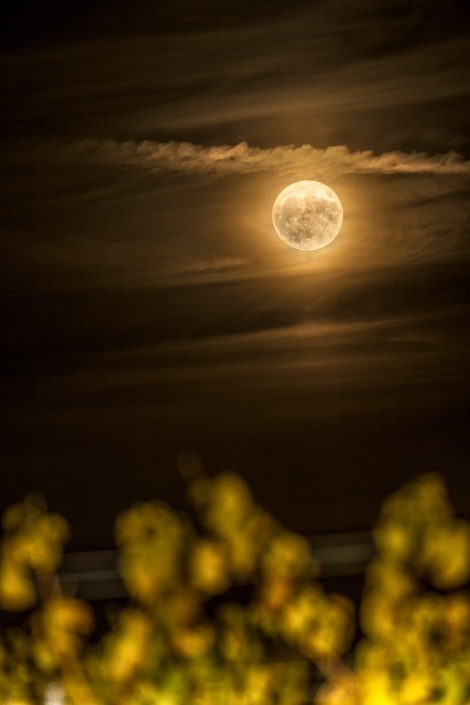 月亮 血月 葡萄藤 - 上的免费照片