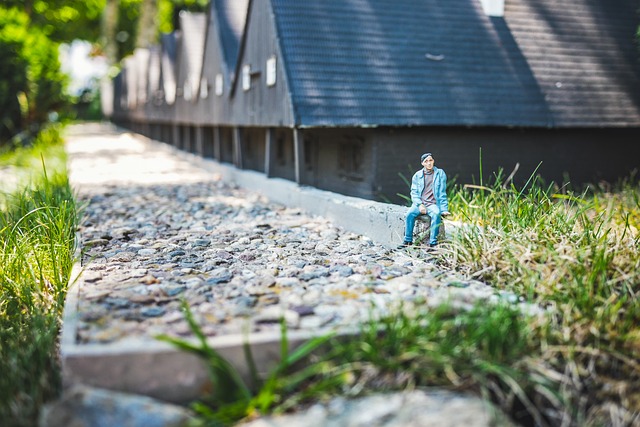 微型 房屋 草 - 上的免费照片