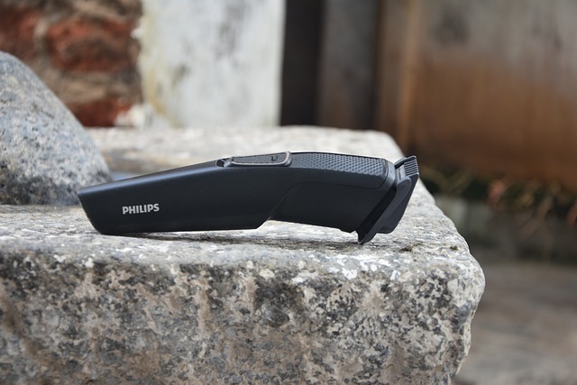 修剪一块石头上 飞利浦修剪器 - 上的免费照片