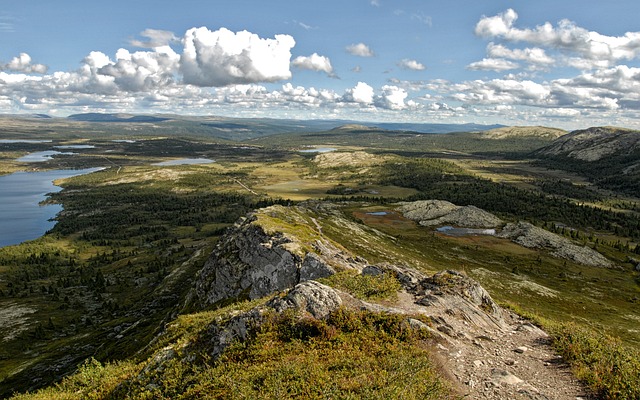 捷威埃 挪威 Svartfjellet - 上的免费照片