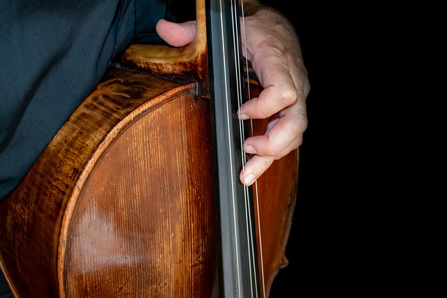 大提琴 音乐 仪器 - 上的免费照片