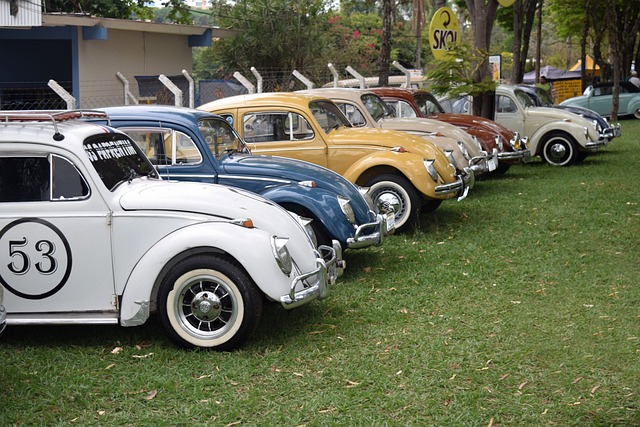 Fusca 乐 车辆 - 上的免费照片