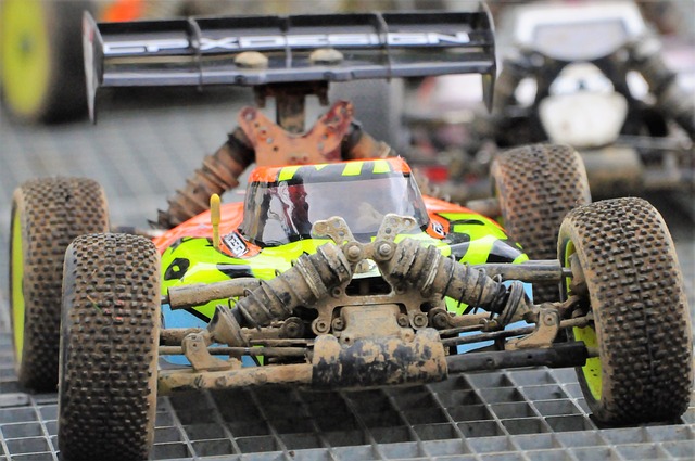 简化模型 竞赛 阔嘴猴睡衣 - 上的免费照片