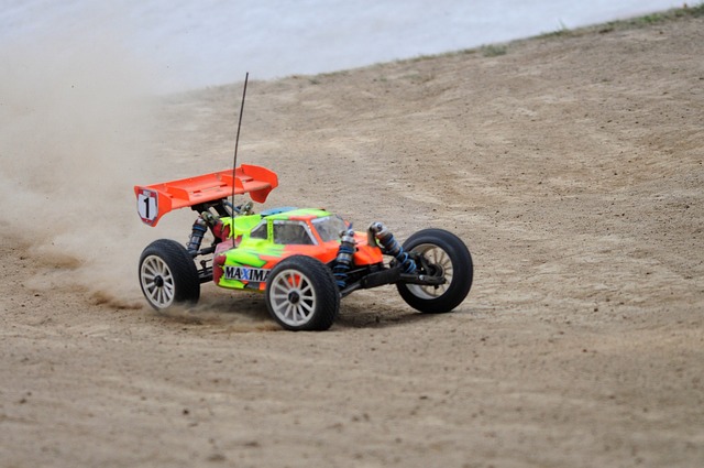 简化模型 竞赛 阔嘴猴睡衣 - 上的免费照片