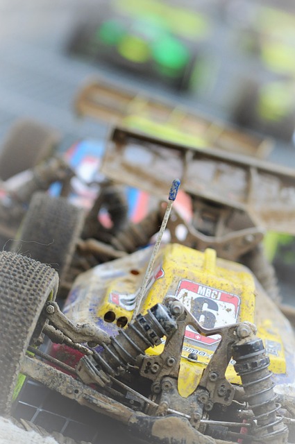 简化模型 竞赛 阔嘴猴睡衣 - 上的免费照片