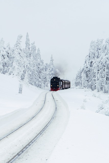 冬天 火车 旅行 - 上的免费照片