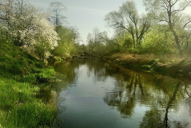作者 Skibka - 上的免费照片