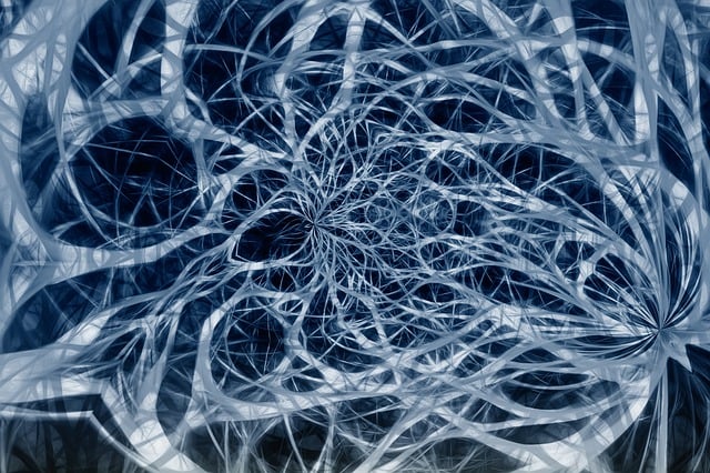 惹恼 网络 神经系统 - 上的免费图片