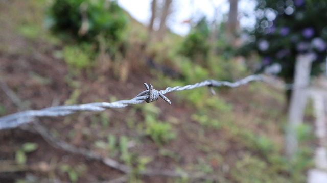金属丝 宏 飞涨 - 上的免费照片