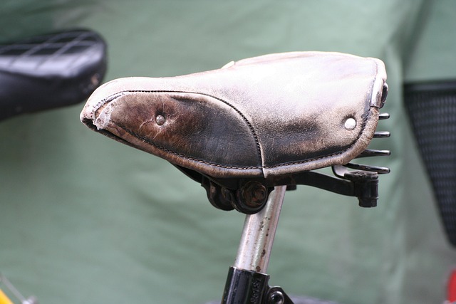 自行车 伸 木头 - 上的免费照片