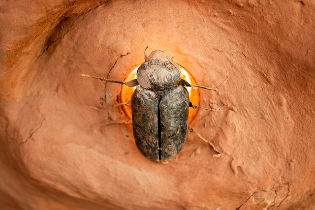 莱瓦别墅 红陶 家 - 上的免费照片