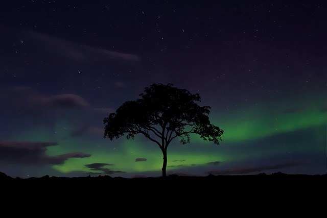 天空 北极光 极光 - 上的免费照片