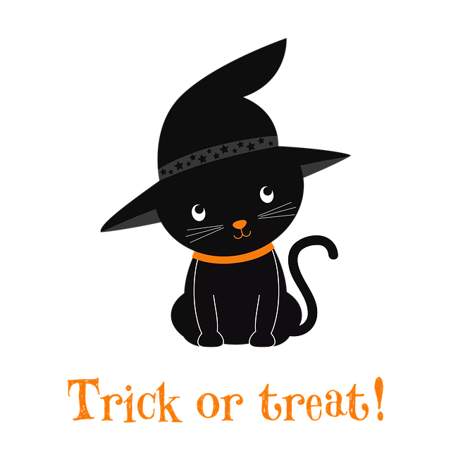猫 万圣节 黑色的 - 上的免费图片