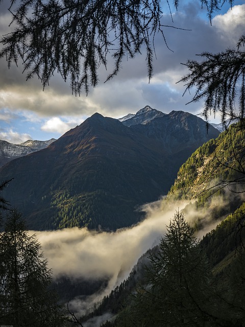 阿尔卑斯山 落下 景观 - 上的免费照片