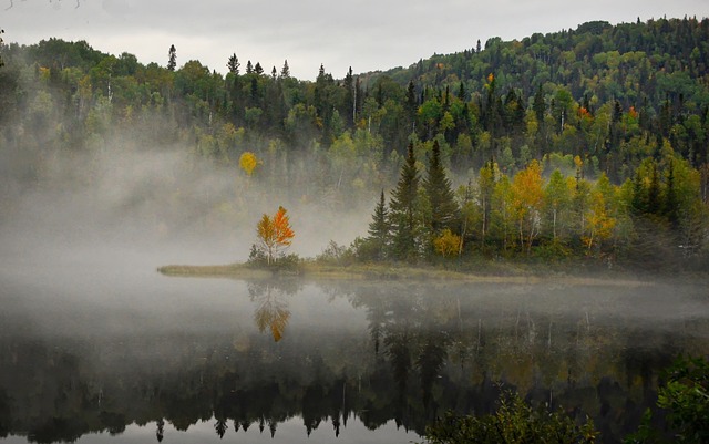 景观 自然 雾 - 上的免费照片