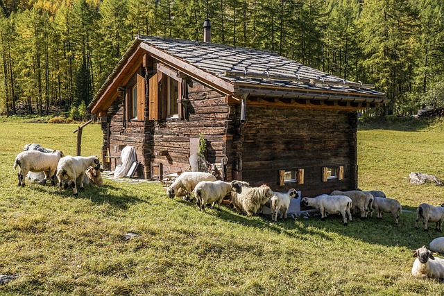 高山小屋 牧场 乡村的 - 上的免费照片