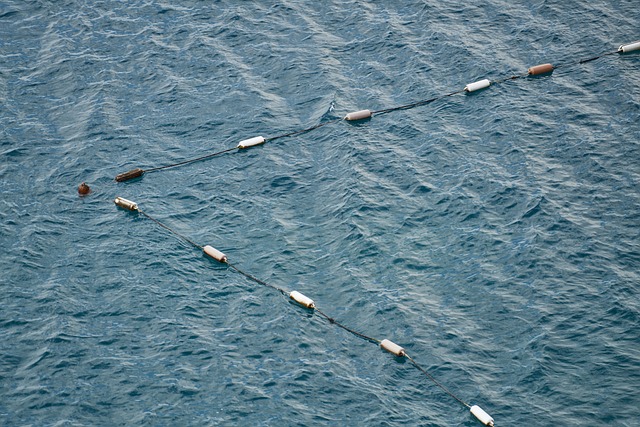 海 蓝色的 海浪 - 上的免费照片