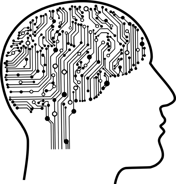 脑 电子的 学习机 - 免费矢量图形