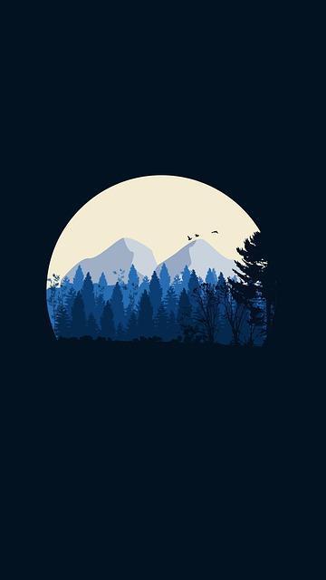 黑暗的 墙纸 夜晚 - 上的免费图片