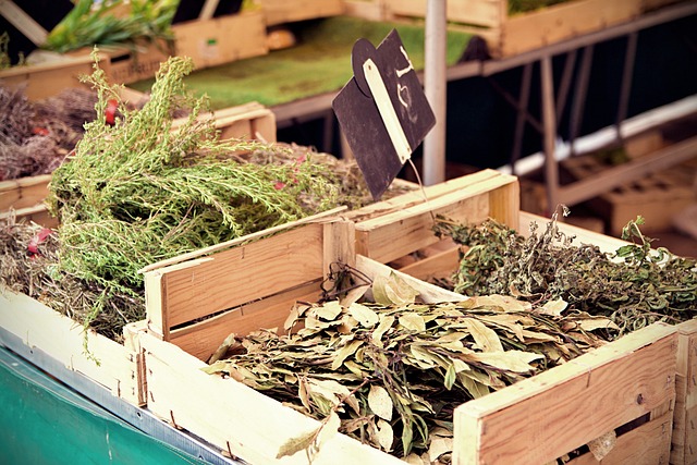 法国 土伦 安静的 - 上的免费照片