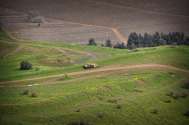以色列 戈兰高地 犹太 - 上的免费照片