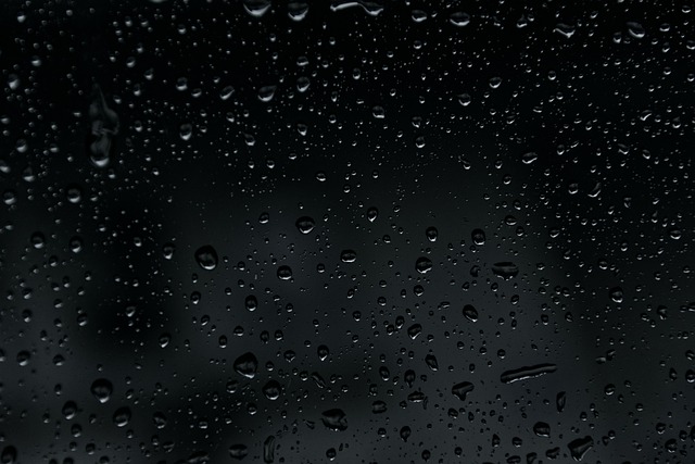 雨 湿的 滴 - 上的免费照片