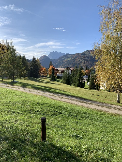 高山草甸 草地 阿尔姆 - 上的免费照片