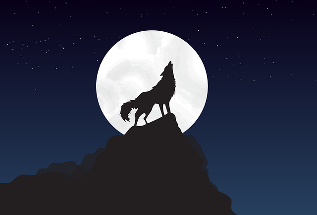 狼 月亮 夜间 - 免费矢量图形