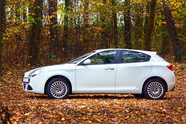 车 秋天 树叶 - 上的免费照片