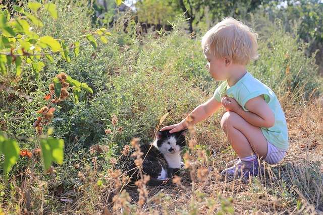 孩子们 喜悦 婴儿 - 上的免费照片
