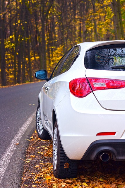 车 车辆 秋天 - 上的免费照片