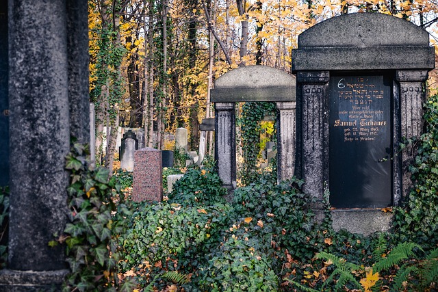公墓 坟墓 坟 - 上的免费照片