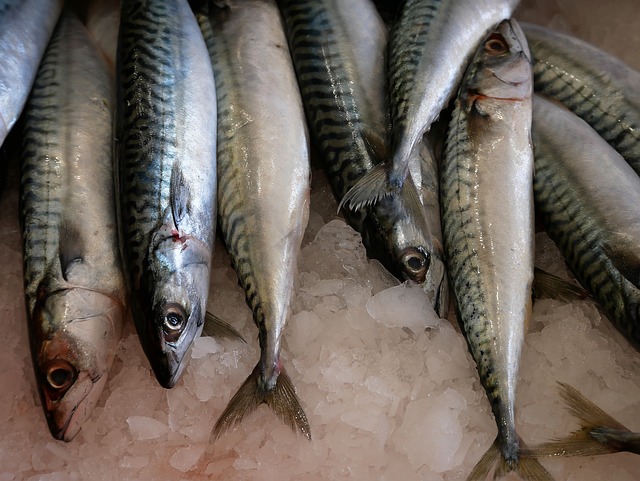 鱼 档 市场 - 上的免费照片