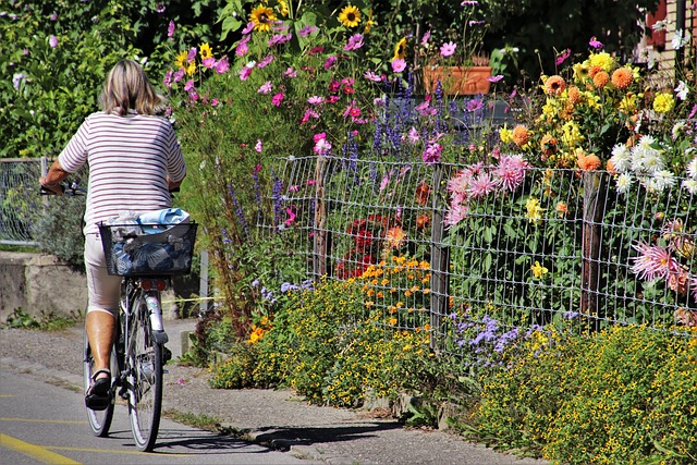 自行车 花园 她 - 上的免费照片