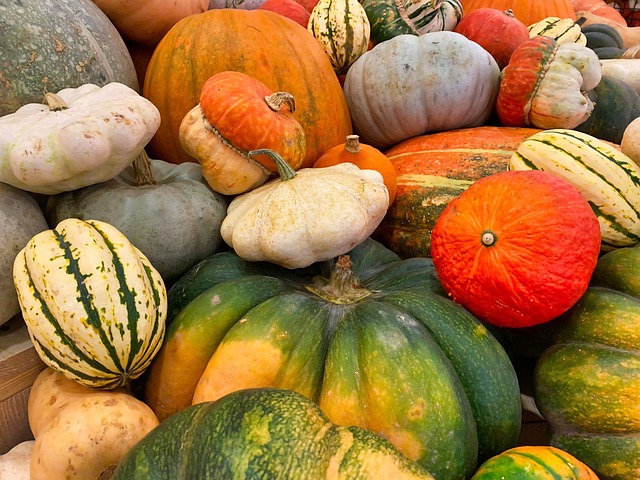 南瓜 万圣节 落下 - 上的免费照片