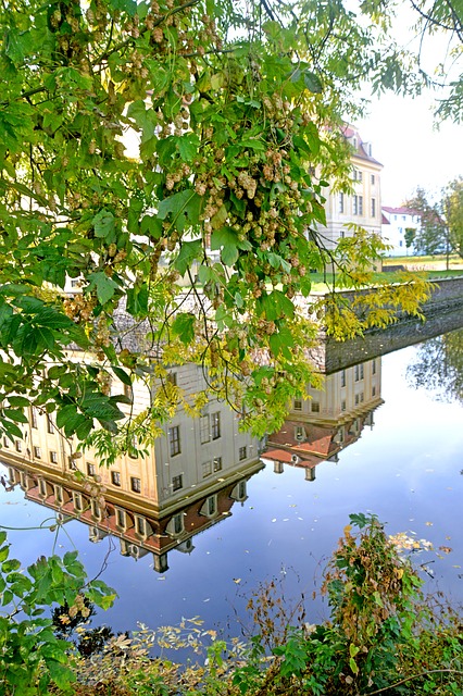 Barockschloss瓦豪 Barockschloss 城堡 - 上的免费照片