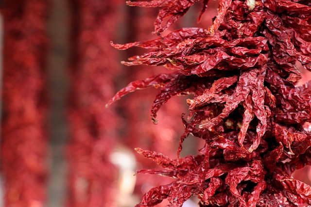 中国 陕西省 西安 - 上的免费照片